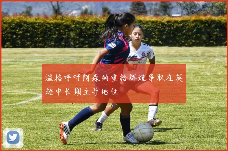 温格呼吁阿森纳重拾辉煌争取在英超中长期主导地位